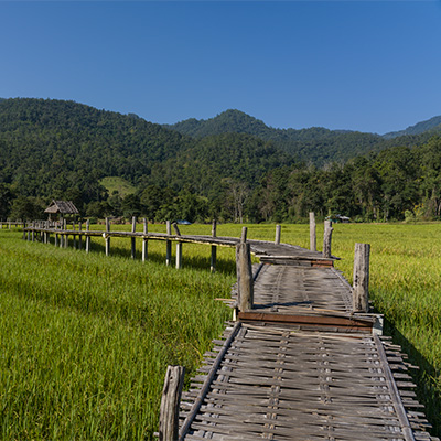 Pai Bamboo Bridge 400 01 - Chiang Mai Private Driving Tours