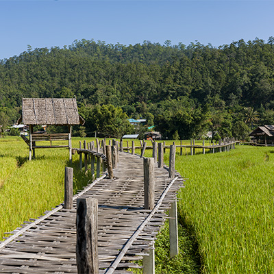Pai Bamboo Bridge 400 02 - Chiang Mai Private Driving Tours